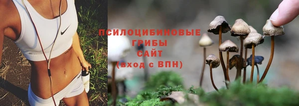 ПСИЛОЦИБИНОВЫЕ ГРИБЫ Медногорск