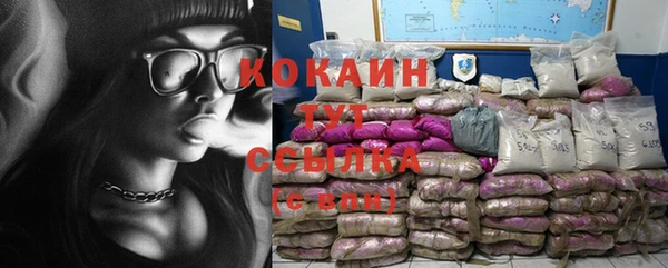 гашик Домодедово