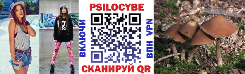 ОМГ ОМГ Смоленск Галлюциногенные грибы MAGIC MUSHROOMS сколько стоит